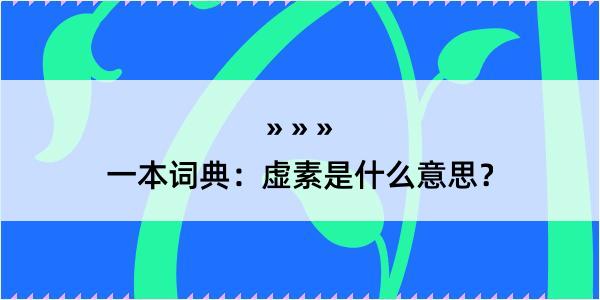 一本词典：虚素是什么意思？