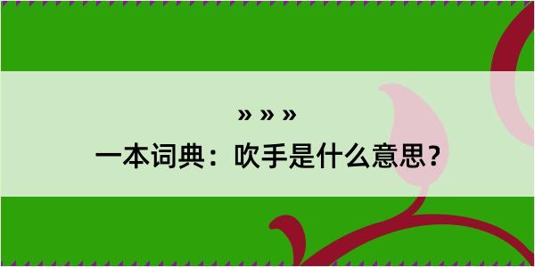 一本词典：吹手是什么意思？