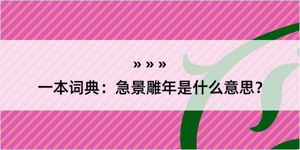 一本词典：急景雕年是什么意思？