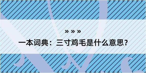 一本词典：三寸鸡毛是什么意思？