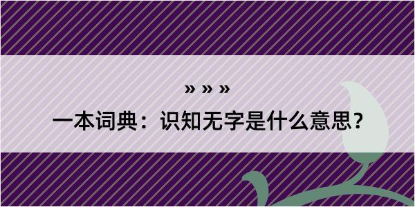 一本词典：识知无字是什么意思？