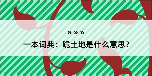 一本词典：跪土地是什么意思？