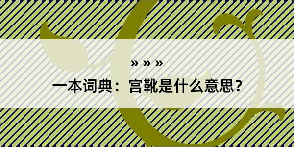 一本词典：宫靴是什么意思？