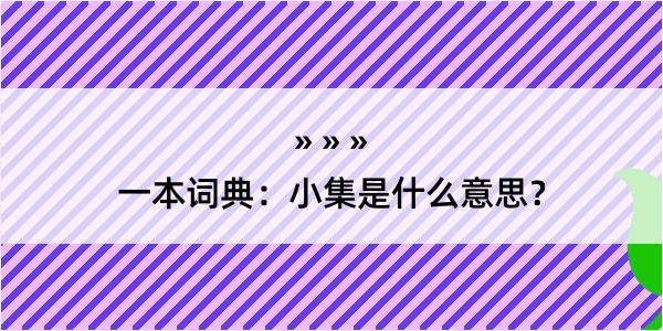 一本词典：小集是什么意思？