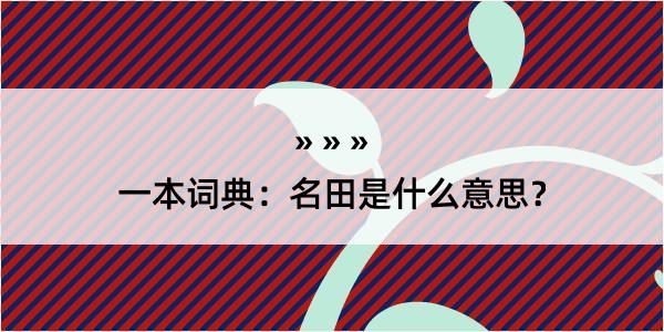 一本词典：名田是什么意思？