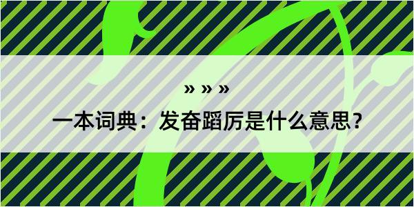 一本词典：发奋蹈厉是什么意思？