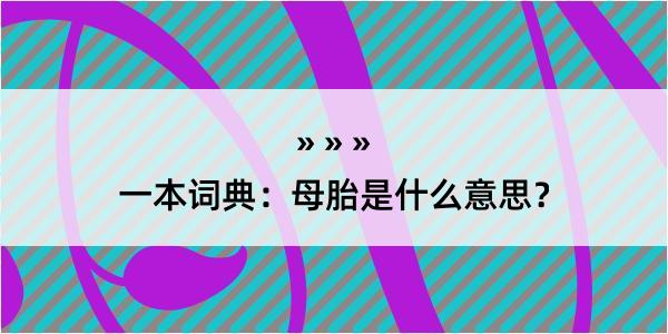 一本词典：母胎是什么意思？