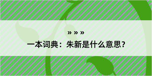 一本词典：朱新是什么意思？