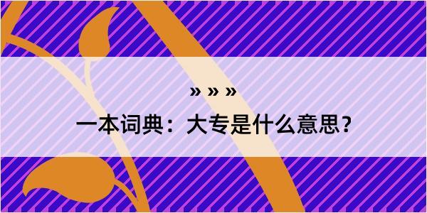 一本词典：大专是什么意思？