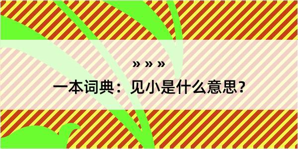 一本词典：见小是什么意思？