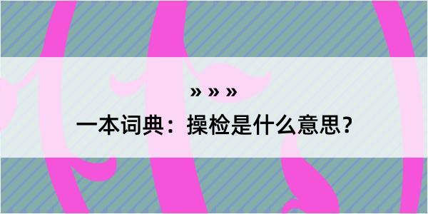 一本词典：操检是什么意思？