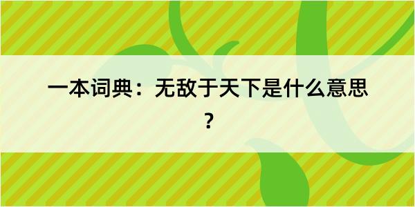 一本词典：无敌于天下是什么意思？