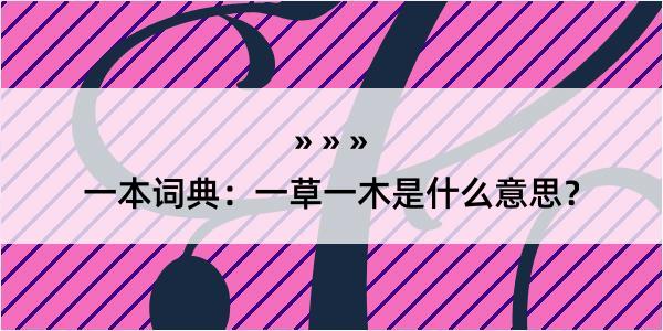 一本词典：一草一木是什么意思？