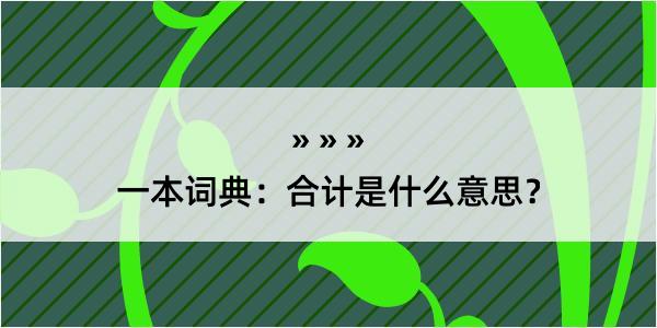 一本词典：合计是什么意思？