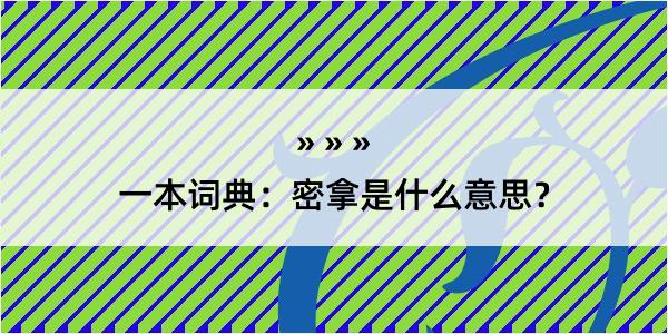 一本词典：密拿是什么意思？