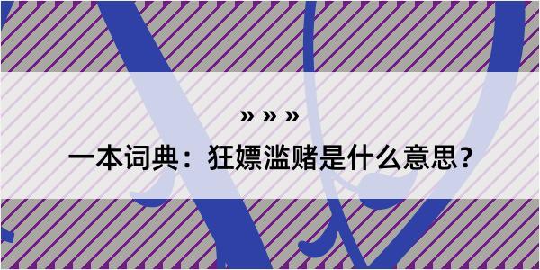 一本词典：狂嫖滥赌是什么意思？