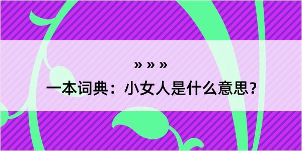 一本词典：小女人是什么意思？