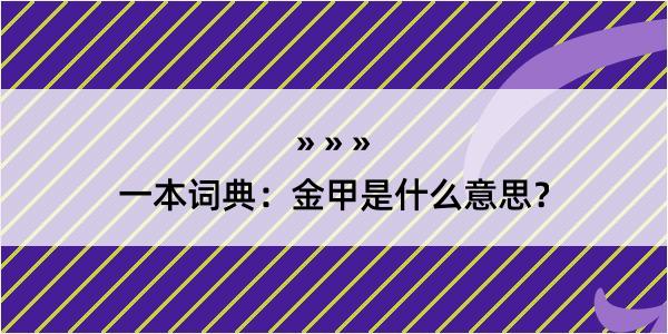 一本词典：金甲是什么意思？