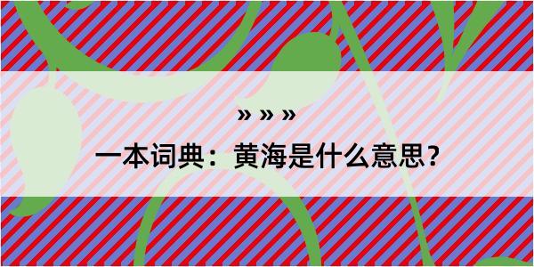 一本词典：黄海是什么意思？