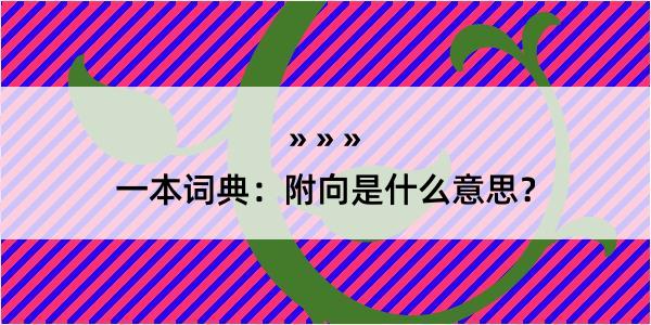 一本词典：附向是什么意思？