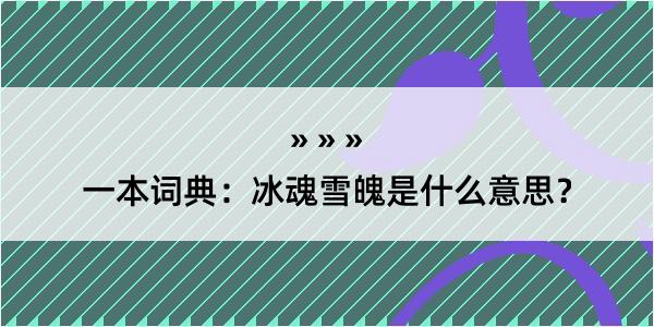 一本词典：冰魂雪魄是什么意思？