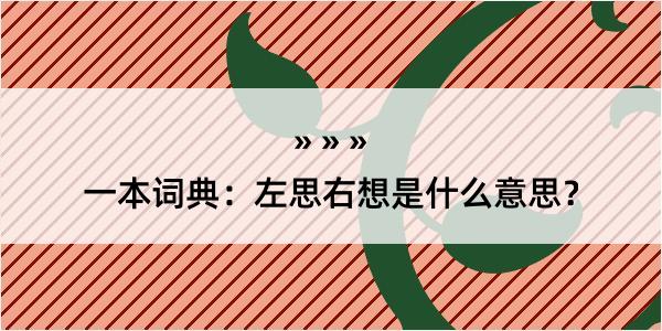 一本词典：左思右想是什么意思？