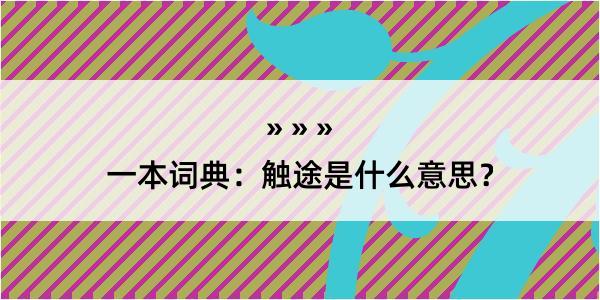 一本词典：触途是什么意思？