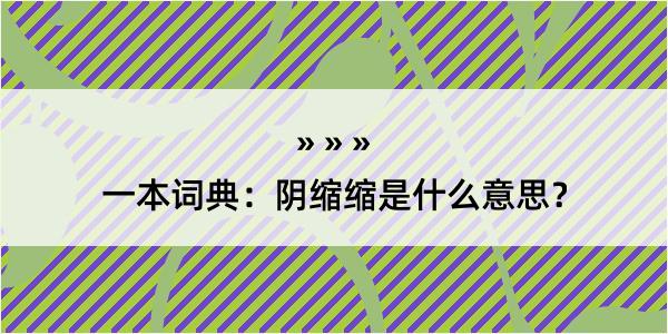 一本词典：阴缩缩是什么意思？