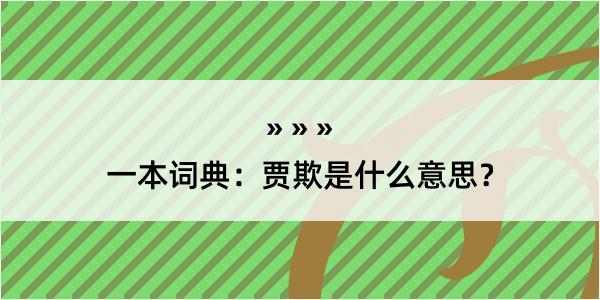 一本词典：贾欺是什么意思？