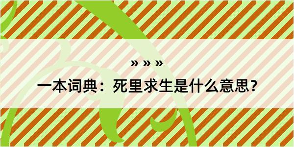 一本词典：死里求生是什么意思？