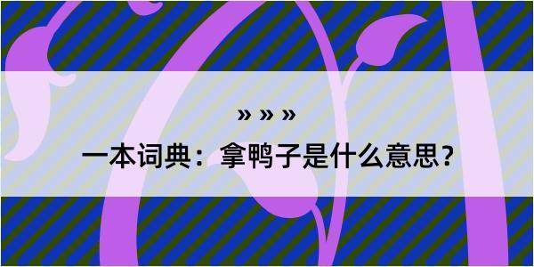 一本词典：拿鸭子是什么意思？