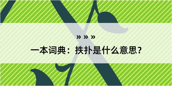 一本词典：抶扑是什么意思？