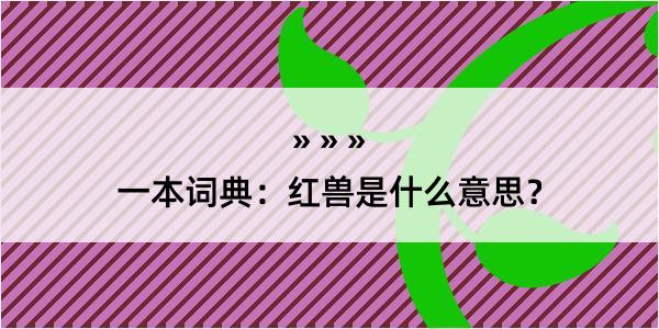 一本词典：红兽是什么意思？