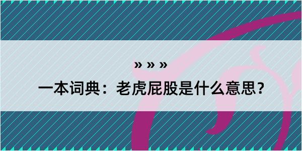 一本词典：老虎屁股是什么意思？