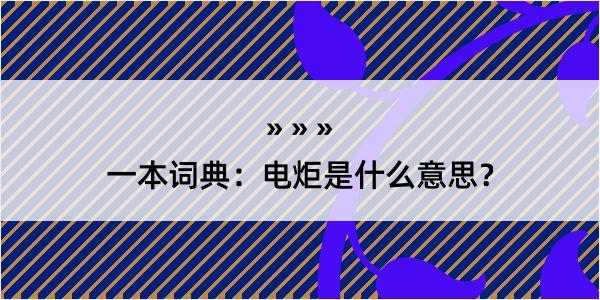 一本词典：电炬是什么意思？