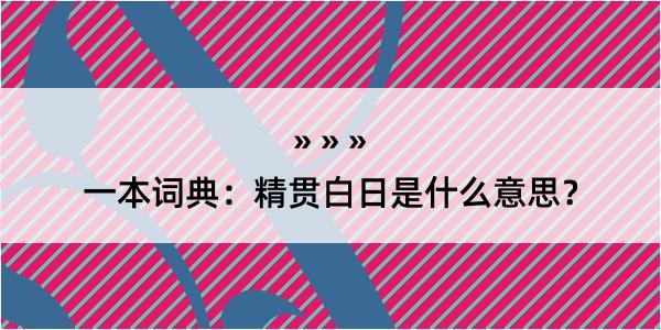 一本词典：精贯白日是什么意思？