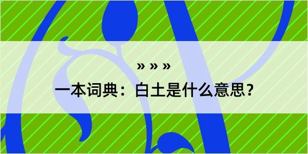 一本词典：白土是什么意思？