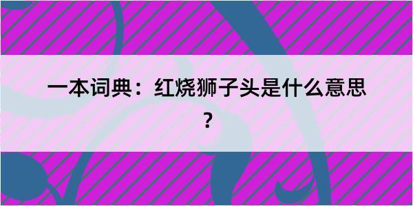 一本词典：红烧狮子头是什么意思？