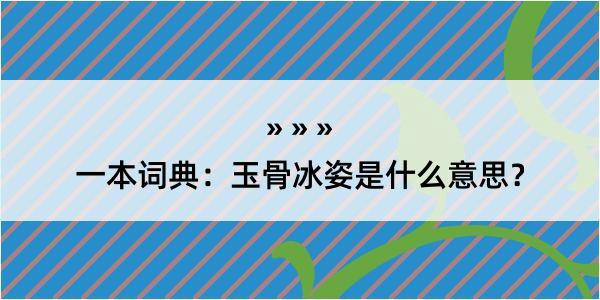 一本词典：玉骨冰姿是什么意思？