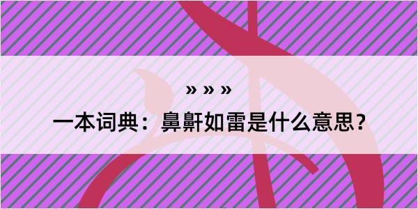 一本词典：鼻鼾如雷是什么意思？