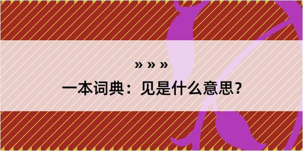 一本词典：见是什么意思？