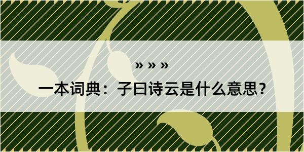 一本词典：子曰诗云是什么意思？