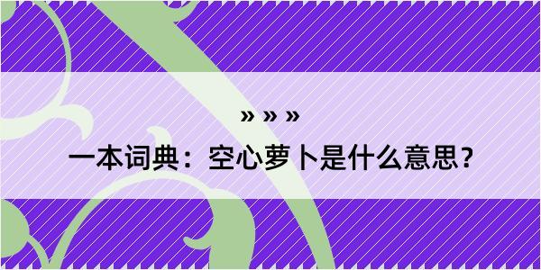 一本词典：空心萝卜是什么意思？