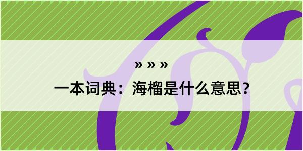 一本词典：海榴是什么意思？