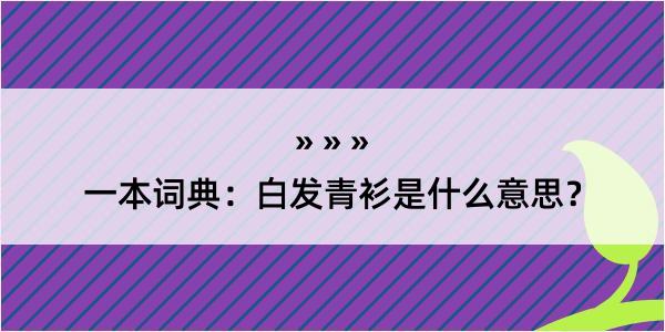 一本词典：白发青衫是什么意思？