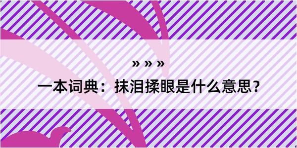 一本词典：抹泪揉眼是什么意思？