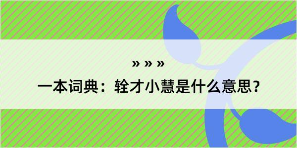 一本词典：辁才小慧是什么意思？