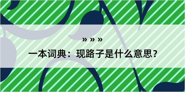 一本词典：现路子是什么意思？