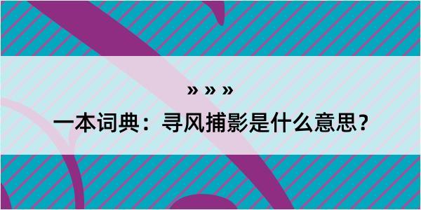 一本词典：寻风捕影是什么意思？