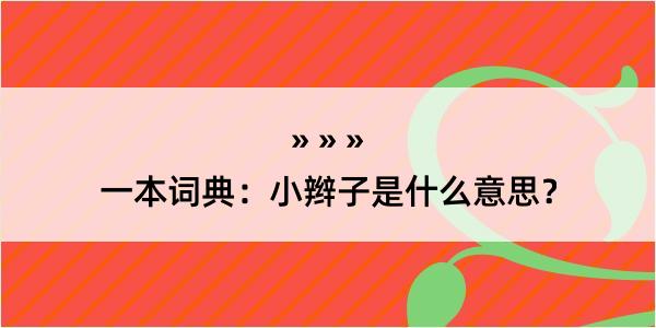 一本词典：小辫子是什么意思？